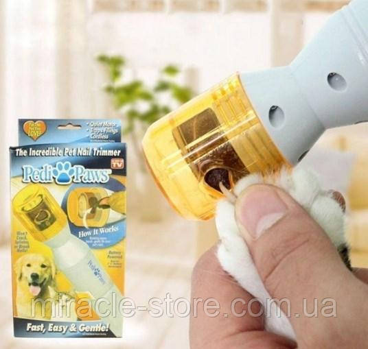 Pedi pet top