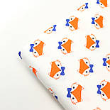 Сатин "Рудий лисички" на білому тлі No 160-248 с, фото 7