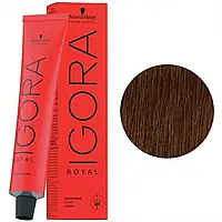 6-6 Темно-русый шоколадный Igora Royal Schwarzkopf Professional 60 мл