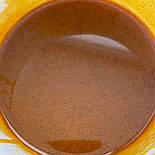 Концентрована паста для десертів Joypaste Vaniglia Caribe (ваніль) 100 г, фото 3