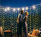 Гірлянда штора на USB 3*3 м на 300 LED з пультом крапля роси біле холодне світло GOLDENLIGHT, фото 4