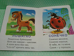 Картон КХ (А5) Хтосики раз-с, фото 4