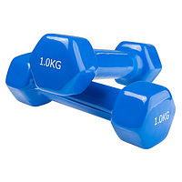 Гантелі для фітнесу вінілові 1 кг х 2 шт 80022-V1