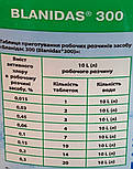 Засіб дезінфікуючий Бланідас 300 таблетки, 1 кг, фото 5