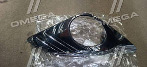 Решитка бампера пер. лив. TOY CAMRY 11-14 USA (TEMPEST) 049 4771 917 UA58