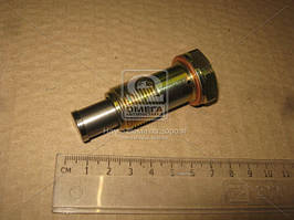 Комплект ланцюга приводу розподильного валу BMW N51/52/53 (вир-во FEBI) 48385 UA58