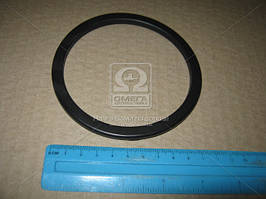 Прокладка датчика ривня палива Toyota Lexus (вир-во Toyota) 7716933020 UA58