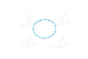 Прокладка, паливний насос (вир-во Elring) 174.270 UA58