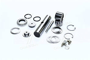 Р/к шворня LDV (старий номер 966311)(Вир-во FAG) 830 0009 30 UA58