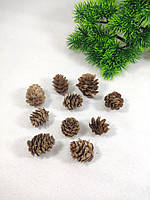 Натуральные шишки 2-4см (1 набор -10шт),новогодний и рождественский декор