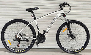 TOP BIKE 