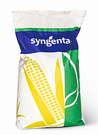 СИ Фортаго ФАО 260 Syngenta 2023г, семена кукурзы Сингента