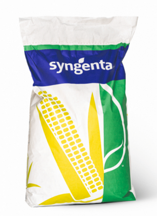 СІ Чорінтос ФАО 310 Syngenta 2023г, насіння кукурудзи Сингента, фото 2