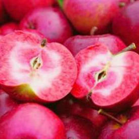 Яблуня Сирена (красномясая)