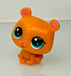 Littlest Pet Shop BEAR - Фігурка Літл Пет Шоп Жовтий Ведмідь Маленький зоомагазин Hasbro 2201046, фото 5
