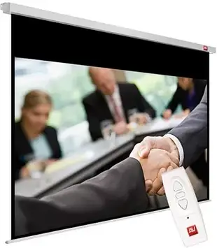 Проекційний екран Vidis Avtek Business 300P