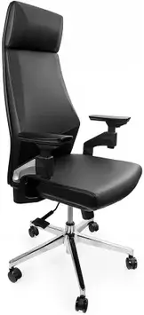 Поворотне ергономічне офісне крісло 4D Gunnar з підлокітником