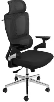 Ергономічне офісне крісло Spacetronik Bard Black