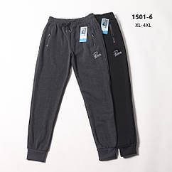 Чоловічі теплі трикотажні штани на флiсi НОРМА 1501-5 (в уп. рiзний колiр) осiнь-зима. фабричний Китай.