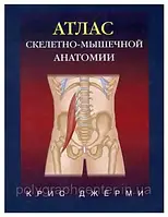 Атлас скелетно-мышечной анатомии. Крис Джермим