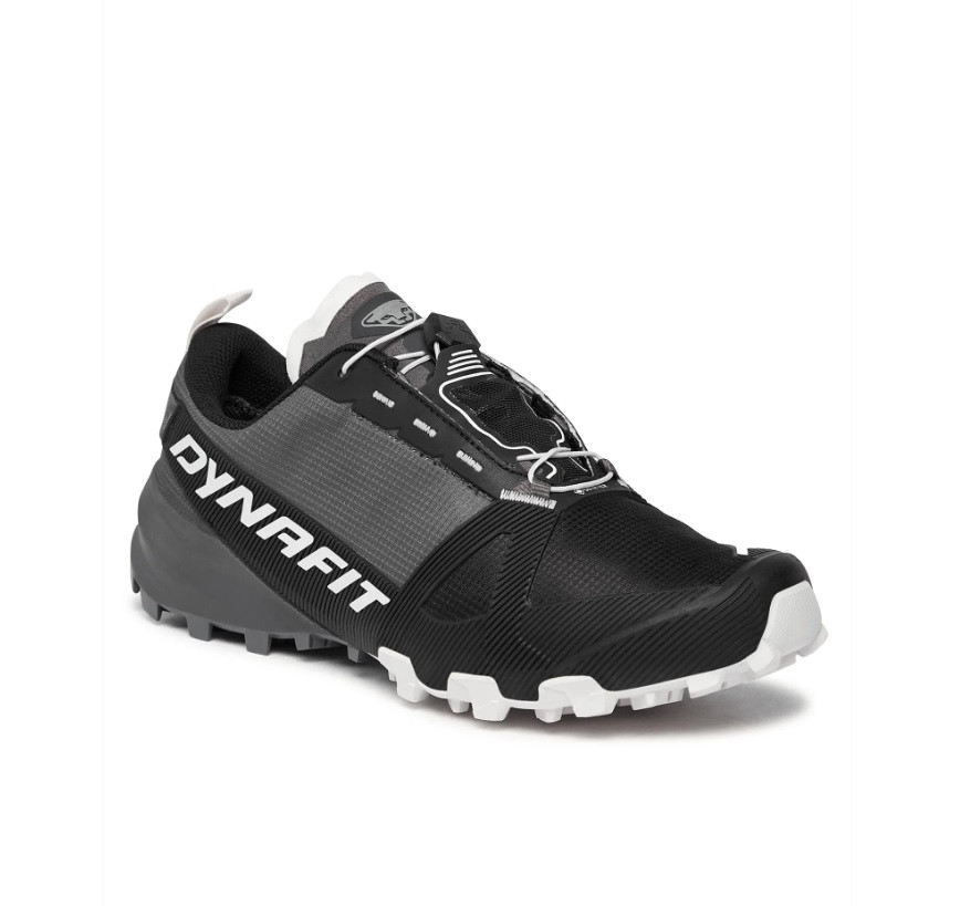 Кросівки чоловічі Dynafit Traverse GTX для бігу та спортивного альпінізму