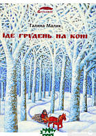 Книга Їде грудень на коні. Автор - Галина Малик (Каламар) (Укр.)