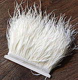 Пір'я страуса на стрічці. Колір Білий. Перо 8-15см. Ціна за 0,5 м., фото 9