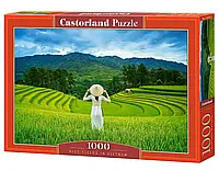 Пазл 1000 эл. "Castorland" (Польша) / Рисові поля у В'єтнамі