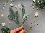 Гілка хвої лита "Нобіліс лапка блакитна Лапка 3-ка" (штучна хвоя), фото 4