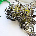 Гілочка протеї, 18 см, фото 3