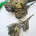 Гілочка протеї, 18 см, фото 5