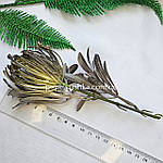 Гілочка протеї, 18 см, фото 2