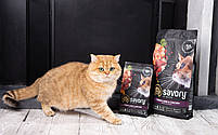 Сухий корм для стерилізованих котів Savory Adult Cat Steril Fresh Lamb & Chicken (ягня та курка) 2 кг, фото 6