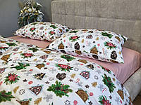 Комплект постельного белья Сладкие избушки/роза, Turkish flannel фланель