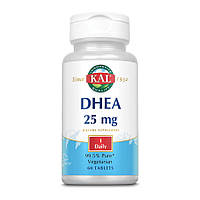 Стимулятор тестостерона KAL DHEA 25 mg, 60 таблеток