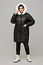 Тепла зимова стьобана чорна куртка великий розмір 52 54 56 58 60 Тоня, фото 2