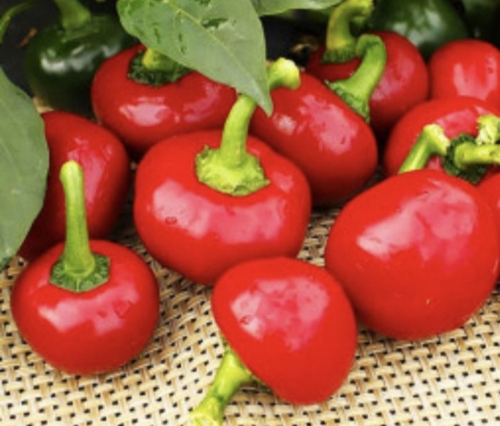 Гострий перець Червона вишня (Red Cherry Chili Pepper) насіння 5 штук