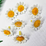 Головка ромашки, 2 см, фото 3