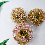 Головка часнику, 4 см, фото 2