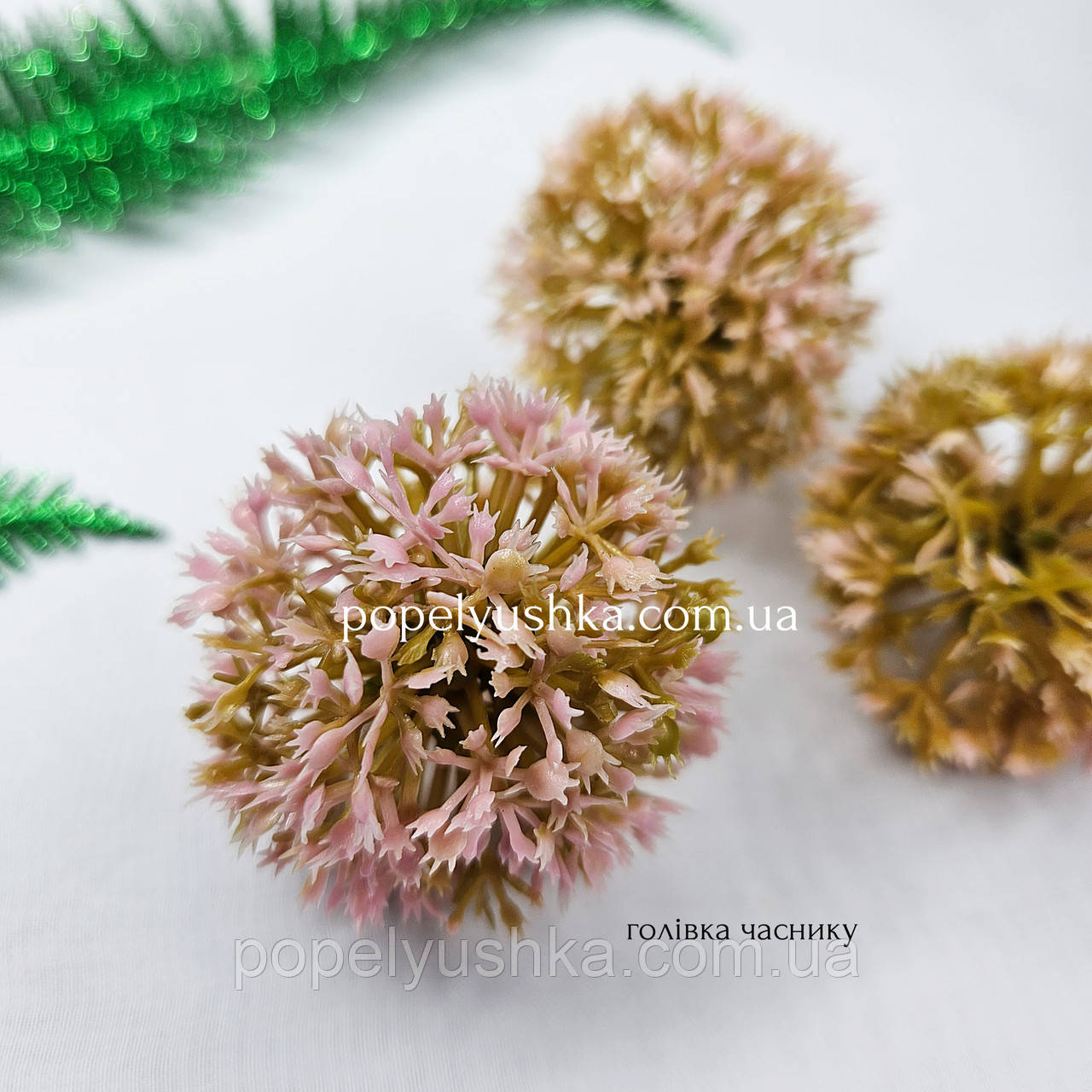 Головка часнику, 4 см, фото 1