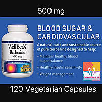 Растительный препарат снижающий сахар в крови берберин 500 мг Natural Factors WellBetX,120 веганских капсул
