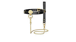 Розкішний нашийник з повідцем Zalo Collar & Leash Set Black SO8228