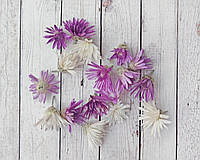 Сухоцвет цветы ксерантемум (бессмертка, сухоцветник) микс. 30 шт