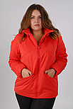Демісезонна жіноча куртка Finn Flare FBC16002-383 Plus Size червона XL, фото 2