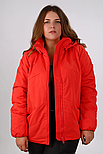 Демісезонна жіноча куртка Finn Flare FBC16002-383 Plus Size червона XL, фото 3