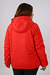 Демісезонна жіноча куртка Finn Flare FBC16002-383 Plus Size червона XL, фото 5