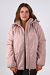 Демісезонна жіноча куртка Finn Flare FBC16002-812 Plus Size рожева XL, фото 2