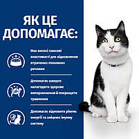 Hill’s Prescription Diet i/d Сухий корм для котів догляд за травленням, з куркою, 3 кг, фото 3