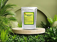 Чай Матча зеленый 100% натуральный B t trà xanh Matcha 1кг