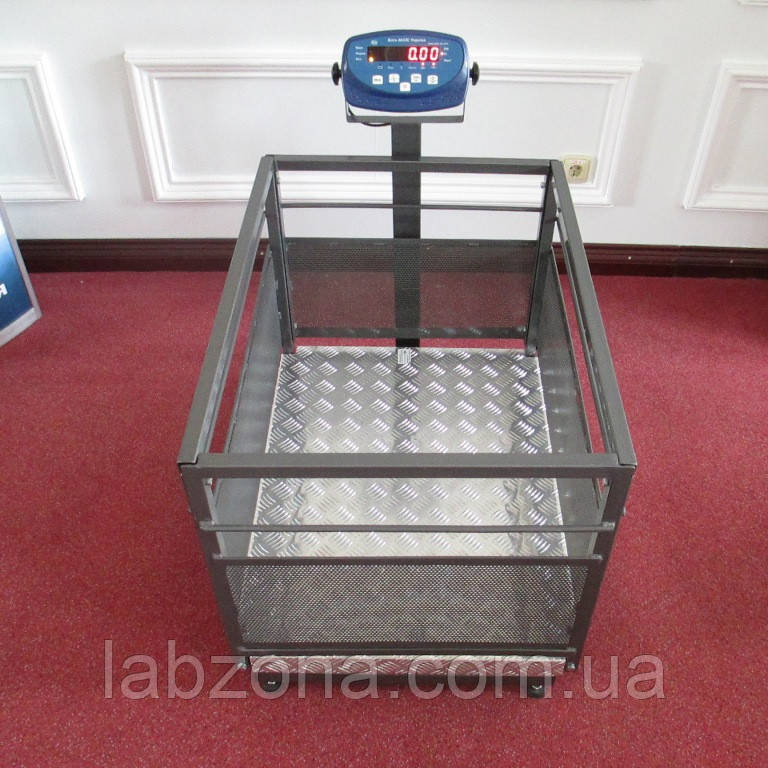 Ваги для поросят BDU300С-0608Х